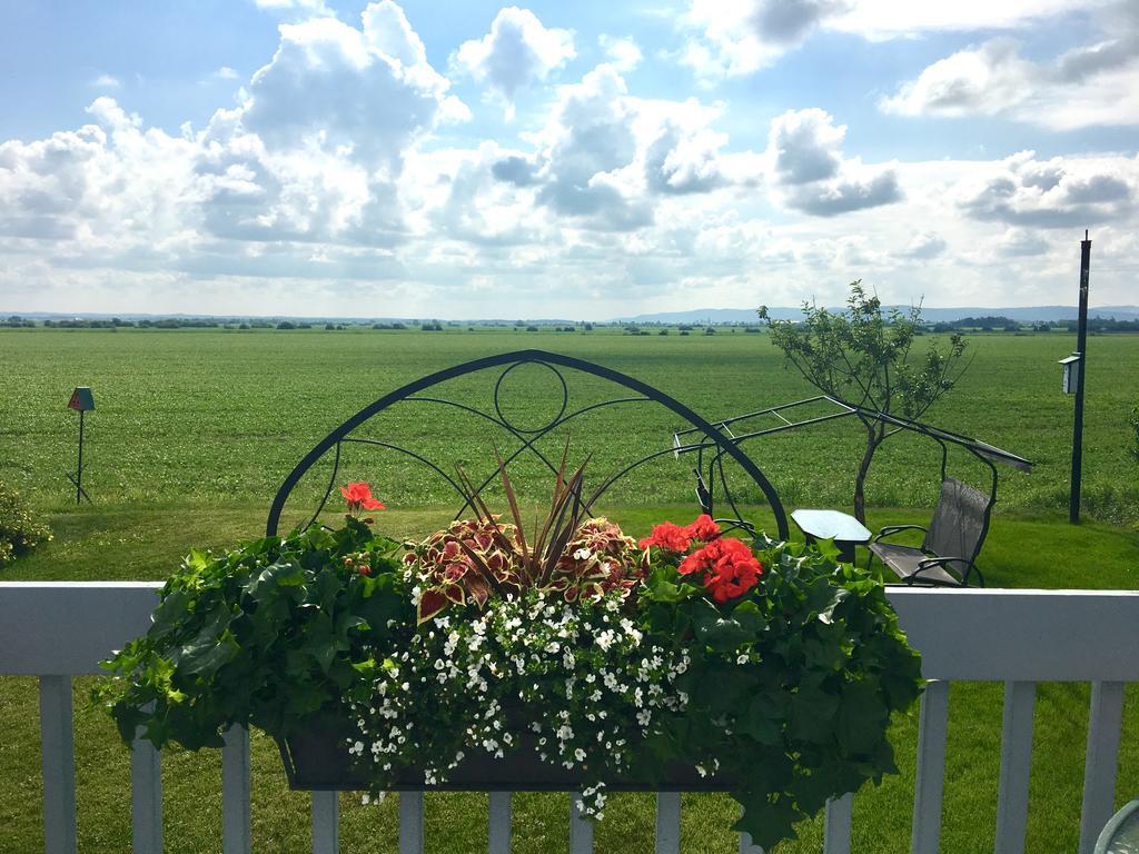 Champ Soleil Bed & Breakfast Metabetchouan Eksteriør bilde